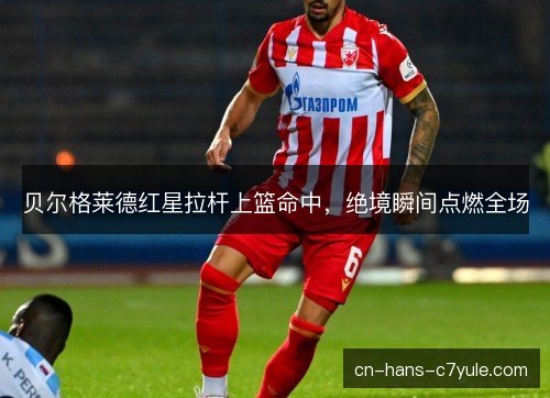 贝尔格莱德红星拉杆上篮命中,绝境瞬间点燃全场 贝尔格莱德红星拉杆上篮命中,绝境瞬间点燃全场